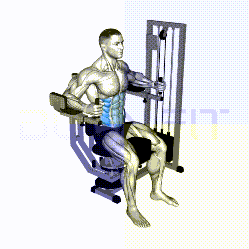 Torso Rotation Machine - Burnfit