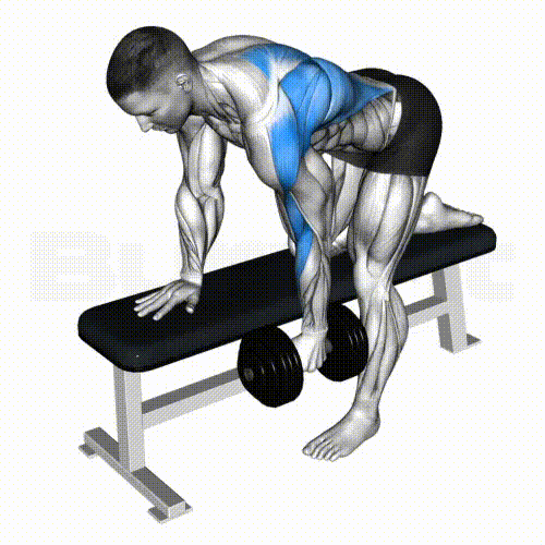 One Arm Dumbbel Row