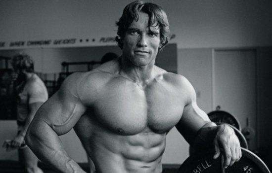 アーノルドゴールデンシックス (Golden Six)