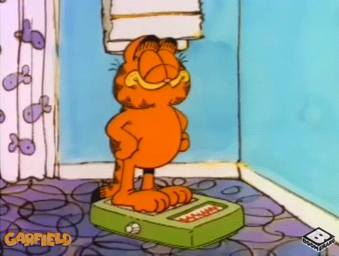 体重計の上で怒るガーフィールドのミーム。体重が減らないダイエット停滞期のストレスと挫折感。