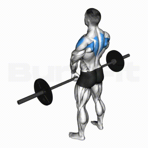 Barbell Upright Row - Smash Your Limit! BurnFit