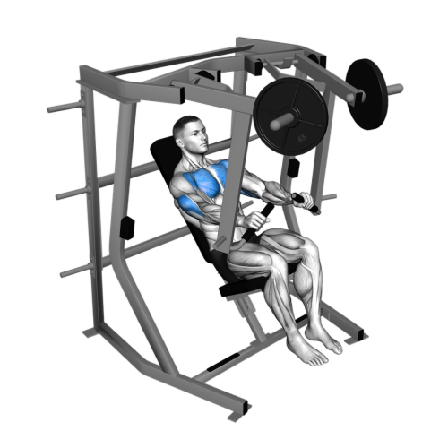 Decline Chest Press Machine