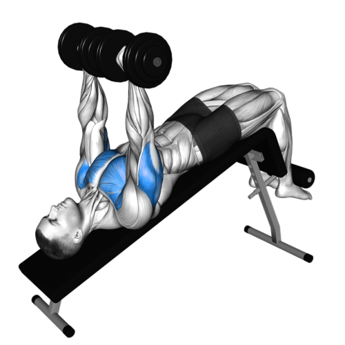 Decline Dumbbell Bench Press