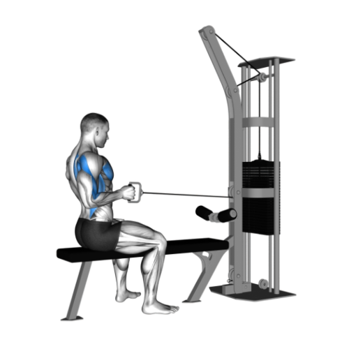 One Arm Cable Seated Row