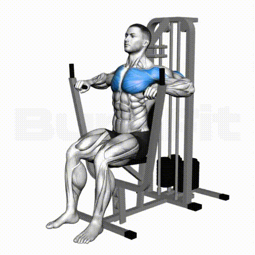 체스트프레스 머신 운동 시 대흉근 자극 부위를 보여주는 근육 해부도, 체스트프레스 자세에서 가슴 근육이 활성화되는 모습