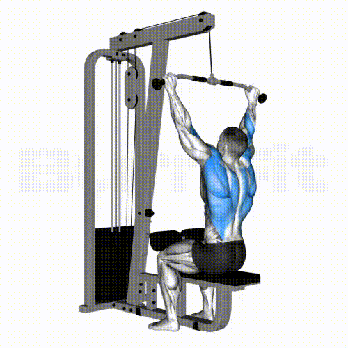 랫풀다운 자세와 동작을 보여주는 랫풀다운 운동 방법 GIF