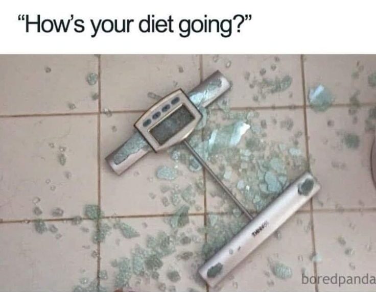 다이어트 스트레스와 정체기로 인해 산산조각이 난 유리 체중계 공감 밈(짤)