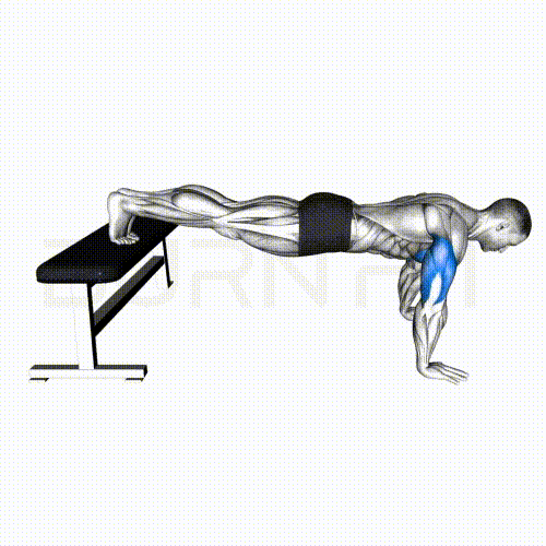 번핏(BurnFit) 워터마크가 있는 동작 가이드, 발을 높은 곳에 두어 가슴 상부를 타겟팅하는 고강도 홈트 루틴 상체 운동 '디클라인 푸시업'